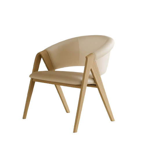 Arden Minimalist Dining Chair
